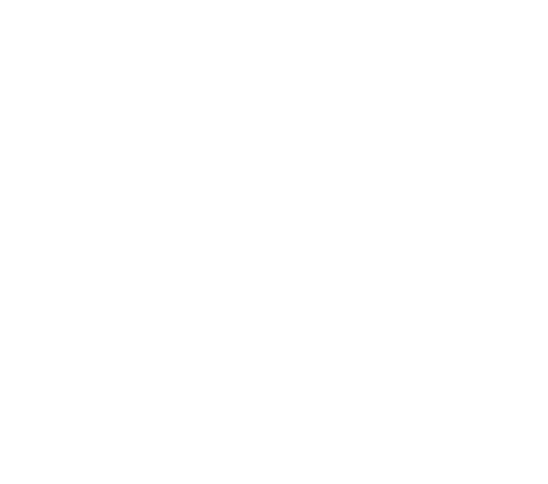 THE HOLIDAY WISH LIST