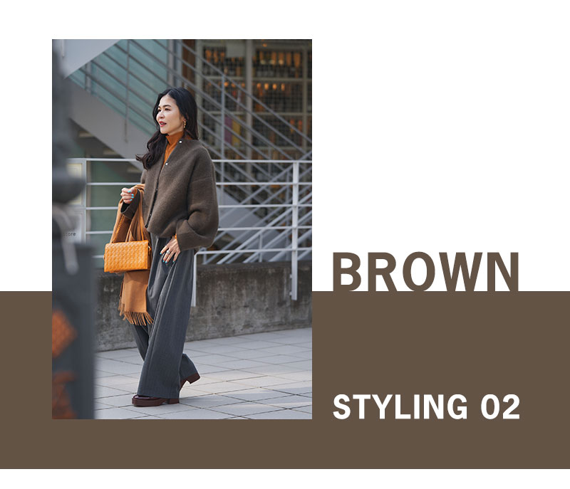 BROWN STYLING 02